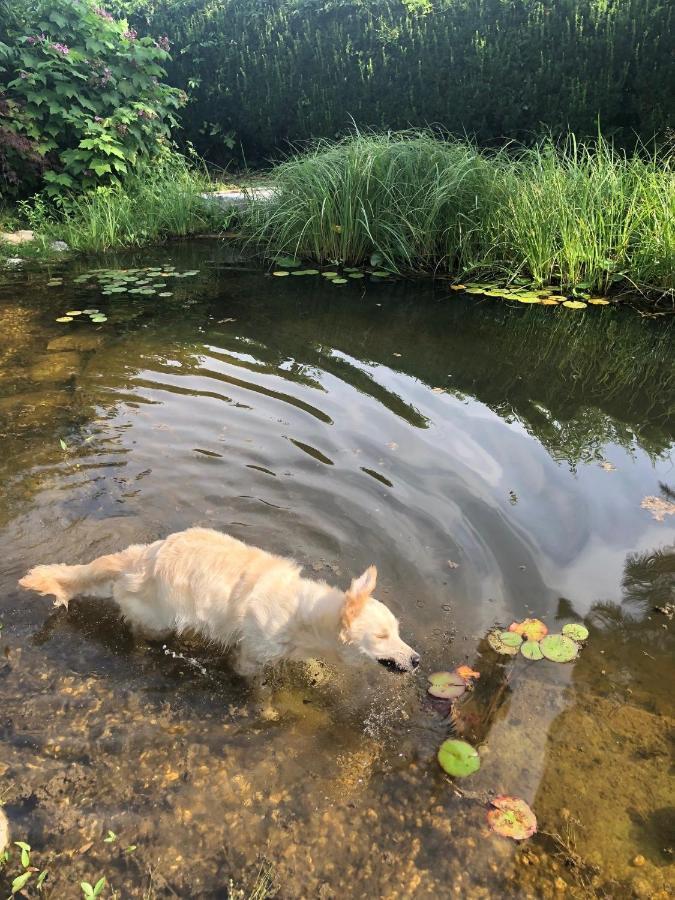 Millies Hosting - Familienurlaub Mit Hund In Kaernten Sankt Paul im Lavanttal 외부 사진