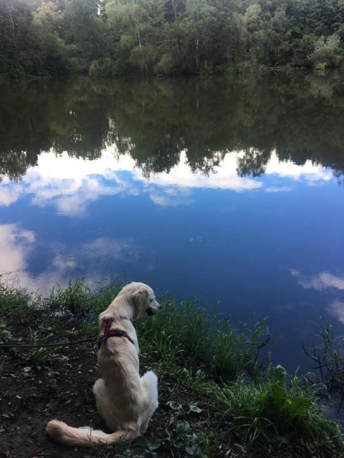 Millies Hosting - Familienurlaub Mit Hund In Kaernten Sankt Paul im Lavanttal 외부 사진