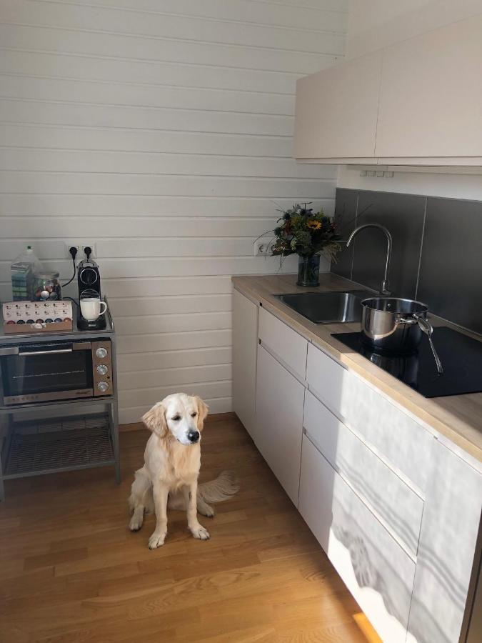 Millies Hosting - Familienurlaub Mit Hund In Kaernten Sankt Paul im Lavanttal 외부 사진