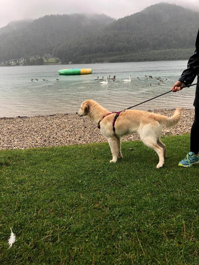 Millies Hosting - Familienurlaub Mit Hund In Kaernten Sankt Paul im Lavanttal 외부 사진