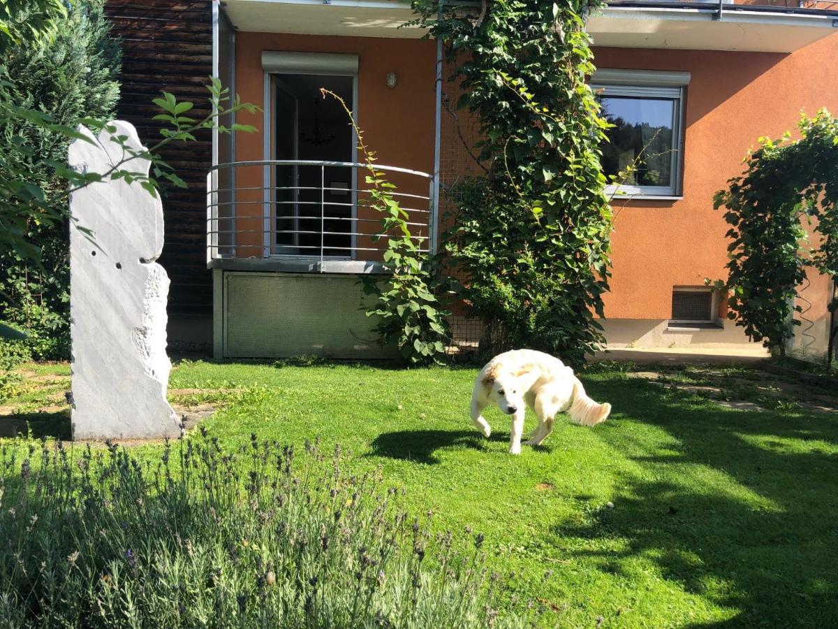 Millies Hosting - Familienurlaub Mit Hund In Kaernten Sankt Paul im Lavanttal 외부 사진