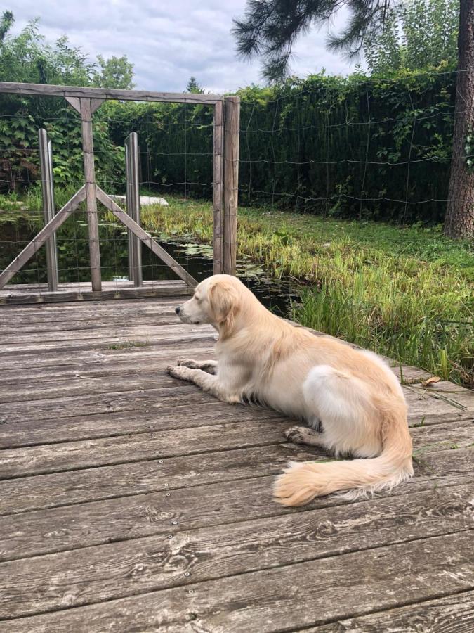Millies Hosting - Familienurlaub Mit Hund In Kaernten Sankt Paul im Lavanttal 외부 사진