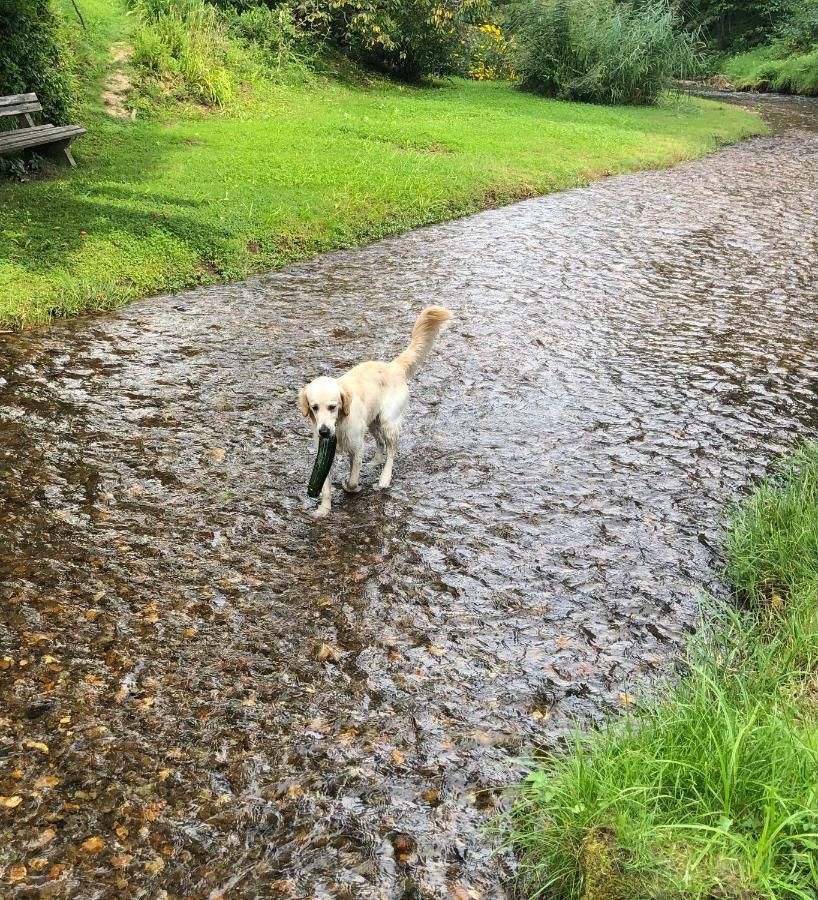 Millies Hosting - Familienurlaub Mit Hund In Kaernten Sankt Paul im Lavanttal 외부 사진