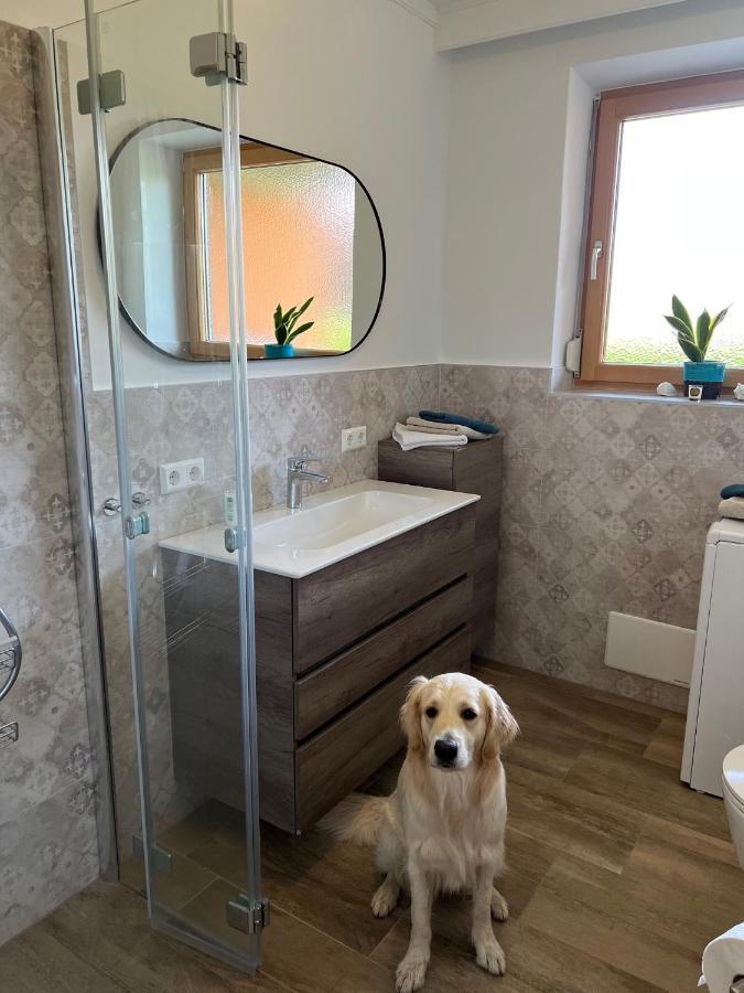 Millies Hosting - Familienurlaub Mit Hund In Kaernten Sankt Paul im Lavanttal 외부 사진
