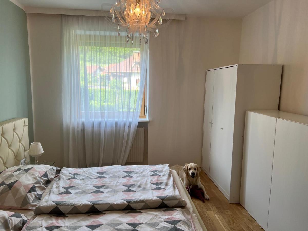 Millies Hosting - Familienurlaub Mit Hund In Kaernten Sankt Paul im Lavanttal 외부 사진